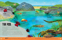 Load image into Gallery viewer, My First Ocean Atlas