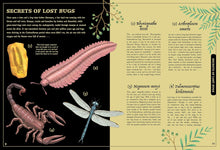 Load image into Gallery viewer, Secret Stories of Lost Beasts :