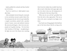 Load image into Gallery viewer, Secret Beast Club: The Mer-People of Crystal Pier