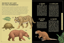 Load image into Gallery viewer, Secret Stories of Lost Beasts :