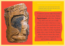 Load image into Gallery viewer, The Story of Afro Hair