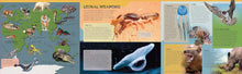 Load image into Gallery viewer, Lonely Planet Kids Deadly Animal Atlas
