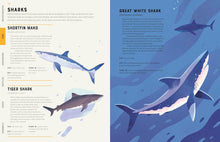 Load image into Gallery viewer, Encyclopedia of Animals : Contains over 275 species!