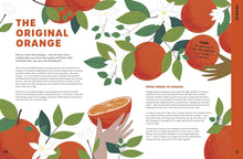 Load image into Gallery viewer, Can You Get Rainbows in Space?