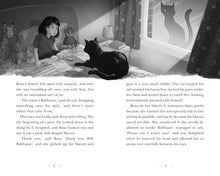 Load image into Gallery viewer, Rosa By Starlight