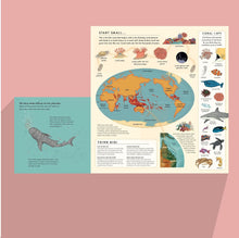 Load image into Gallery viewer, Tiny, Floating Coral