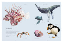 Load image into Gallery viewer, Water World