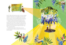 Load image into Gallery viewer, Dragonflies of Glass : The Story of Clara Driscoll and the Tiffany Girls