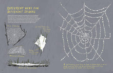 Load image into Gallery viewer, The Observologist