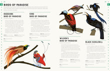 Load image into Gallery viewer, Encyclopedia of Birds