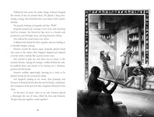 Load image into Gallery viewer, Hunt for the Golden Scarab