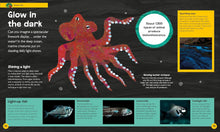 Load image into Gallery viewer, The Very Hungry Caterpillar's Very First Ocean Encyclopedia