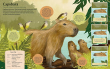 Load image into Gallery viewer, Curious Features Of Extraordinary Creatures