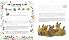 Load image into Gallery viewer, Rewild the World at Bedtime