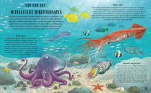 Load image into Gallery viewer, Get Your Animals in Order: Classifying the Animal World