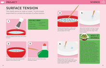 Load image into Gallery viewer, The Wind in the Willows : The children's classic with 20 hands-on STEAM activities