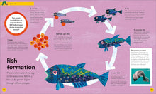 Load image into Gallery viewer, The Very Hungry Caterpillar's Very First Ocean Encyclopedia