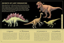 Load image into Gallery viewer, Secret Stories of Lost Beasts :