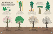 Load image into Gallery viewer, Tree: Explore the Extraordinary World of Trees