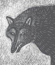 Load image into Gallery viewer, Girls