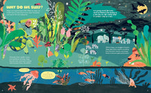 Load image into Gallery viewer, Why Do We Sleep? : The Science of Snooze