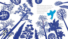 Load image into Gallery viewer, Flying High