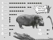 Load image into Gallery viewer, Hamza's Wild World