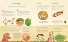 Load image into Gallery viewer, The Secret Life of Bugs, Bees & Trees