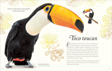 Load image into Gallery viewer, An Anthology of Exquisite Birds