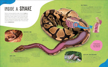 Load image into Gallery viewer, The Animal Body Book