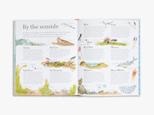 Load image into Gallery viewer, Mouse by the Sea : A Holiday in Nature