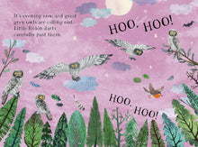 Load image into Gallery viewer, Little Robin's Book of Birds