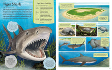 Load image into Gallery viewer, Curious Features of Extraordinary Creatures: Clean-Up Crew