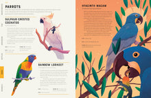 Load image into Gallery viewer, Encyclopedia of Animals : Contains over 275 species!