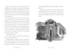 Load image into Gallery viewer, Vanya and the Wild Hunt