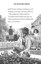 Load image into Gallery viewer, The Woodland Badger