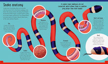 Load image into Gallery viewer, Snakes (A Day in the Life)