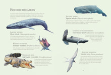 Load image into Gallery viewer, Water World