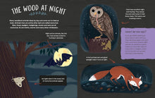 Load image into Gallery viewer, Adventures in Nature: Exploring Woods