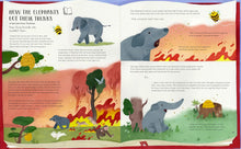 Load image into Gallery viewer, The Secret Life of Bugs, Bees & Trees