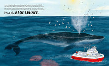 Load image into Gallery viewer, Meet the Whales