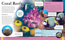 Load image into Gallery viewer, The Ocean Book : A Deep Dive into Our World's Oceans