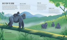 Load image into Gallery viewer, Lost