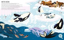 Load image into Gallery viewer, Majestic Oceans : Discover the World Beneath the Waves