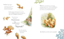 Load image into Gallery viewer, The Tale of Squirrel Nutkin Picture Book