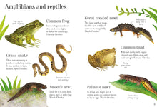 Load image into Gallery viewer, Nature Spotting Guide