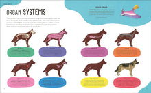 Load image into Gallery viewer, The Animal Body Book