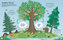 Load image into Gallery viewer, Tree: Explore the Extraordinary World of Trees