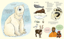 Load image into Gallery viewer, Meet the Bears