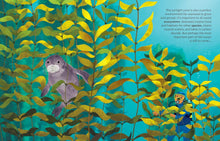 Load image into Gallery viewer, How Do Oceans Help Us Breathe?